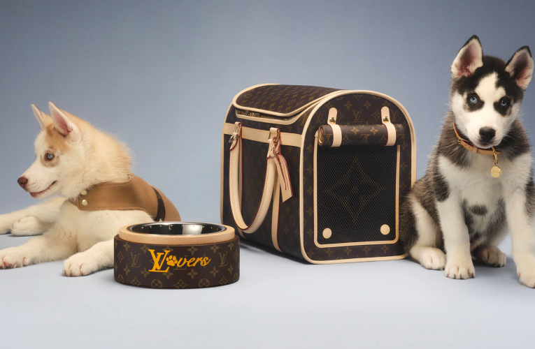 Louis Vuitton Malle Chien Dog Trunk: A Luxurious Choice for Your Furry Companion